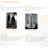 BIO C Sealer 2gm (4 x 0.5gm)