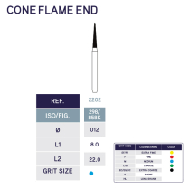 2202 Cone Flame End Diamond Bur 858K/012 10pk