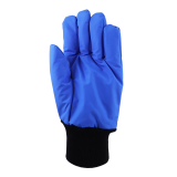 Cryo - Wrist Length (Indent Only)