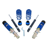 ap Coilover Suspension for VW Group (1M2, 1U2, 1U5, 1J, 1J2, 1J6, 1J_) Toledo, Octavia, Bora, Golf IV