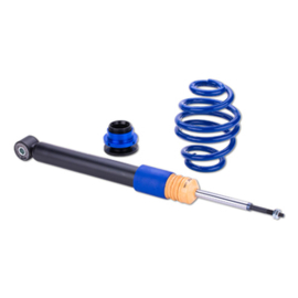 ap Coilover Suspension for BMW (E89) Z4 Roadster