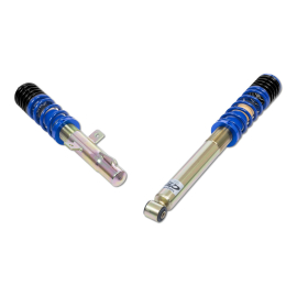 ap Coilover Suspension for Ford (ECT) Puma