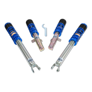 ap Coilover Suspension Galvanized Steel for Ford (JAS, JBS) Fiesta IV