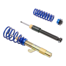 ap Coilover Suspension Galvanized Steel for BMW (F30/F31/F34) 3 Series & (F32/F33/F36) 4 Series