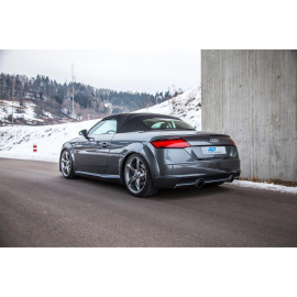 ap Coilover Suspension for Audi (FV/8J) TT