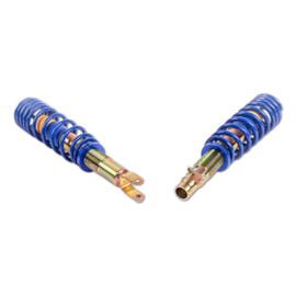 ap Coilover Suspension for Honda (EJ/EK/EM1/MB1/MB4/SO/AA) Civic VI