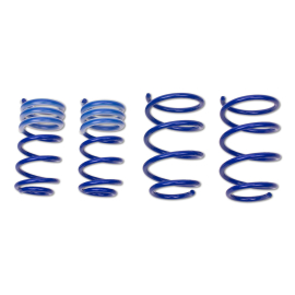 ap Performance Lowering Springs for Ford Fiesta V (JH1, JD3) Hatchback