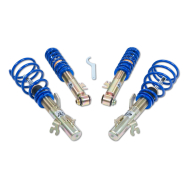 ap Coilover Suspension for Mini (R56) Hatchback