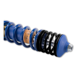 ap Coilover Suspension for VW (6X, 6E) Lupo