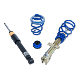 ap Coilover Suspension for Renault (BR0/1, CR0/1) Clio III