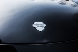 Techart front hood emblem