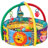 **BALL ACTIVITY NEST GYM