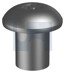 304 P/TORX T45 BL NUT: 3/8UNC