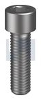 M18x260 SOCKET HEAD CAP SCREW PLAIN