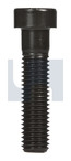 M6x25 CL12.9 Blk  Low Head Socket Hd Cap Screw