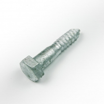 20mmx100 CL4.6 Gal Hex Head Coach Screw-30