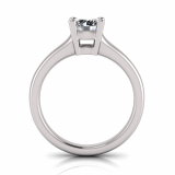 Half Round Shank | Double Bezel Four Claw Setting