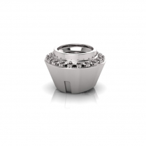 Bezel And Pave Setting