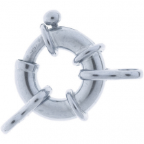 SS Bolt Ring with Final 16mm