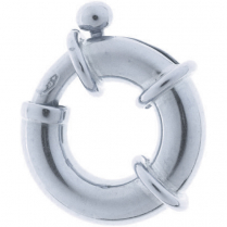 SS Bolt Ring 10mm