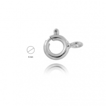 SS Bolt Ring 6mm