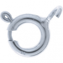 SS Bolt Ring 8mm