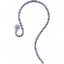 9WG Ear Hooks