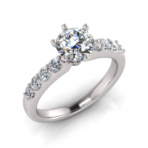 Claw Set Shank | Six Claw Setting