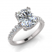 Double Claw Set Cushion| Scallop Set Shoulders