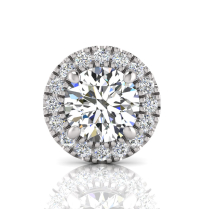 Single Scallop Set Round Halo Earring