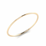 2mm Wide Half-Round Profile Bangle Size M