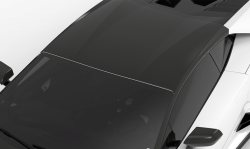 1016 Industries Lamborghini Huracan LP580 Roof