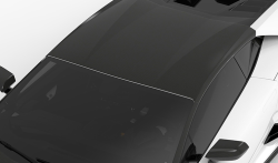 1016 Industries Lamborghini Huracan EVO Roof