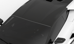 1016 Industries Lamborghini Huracan Performante Roof