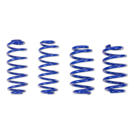 ap Lowering Spring Set for Ford (DYB) Focus III RS