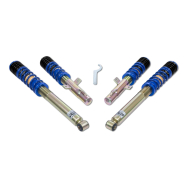 ap Coilover Suspension for Ford (ECT) Puma