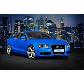 ap Sport Suspension for Audi (B8) A5