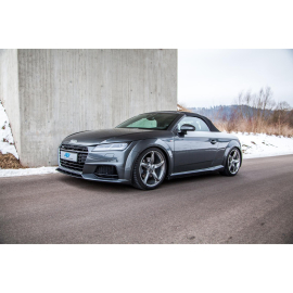 ap Coilover Suspension for Audi (FV, 8J) TT