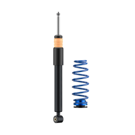 ap Coilover Suspension for VW (AW) Polo VI / SEAT (KJ1) Ibiza Mk V