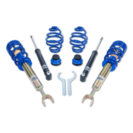 ap Coilover Suspension for VW (3B, 3BG, 3BL, 3BS) Passat