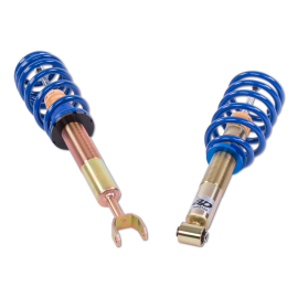 ap Coilover Suspension for Audi (4B) A6, VW (3B, 3BG, 3BL, 3BS) Passat