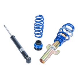 ap Coilover Suspension Galvanized Steel for VW (9N) Polo IV GTI