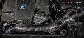 Eventuri V2 BMW F87 M2, F2X M135i, M235i, F3X 335i, 435i Carbon Intake