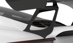 1016 Industries Porsche 991.2 GT3 RS Wing Legs (Twill Carbon)