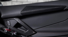 Lamborghini Aventador/S/Roadster | Door-Cover - Visible Carbon