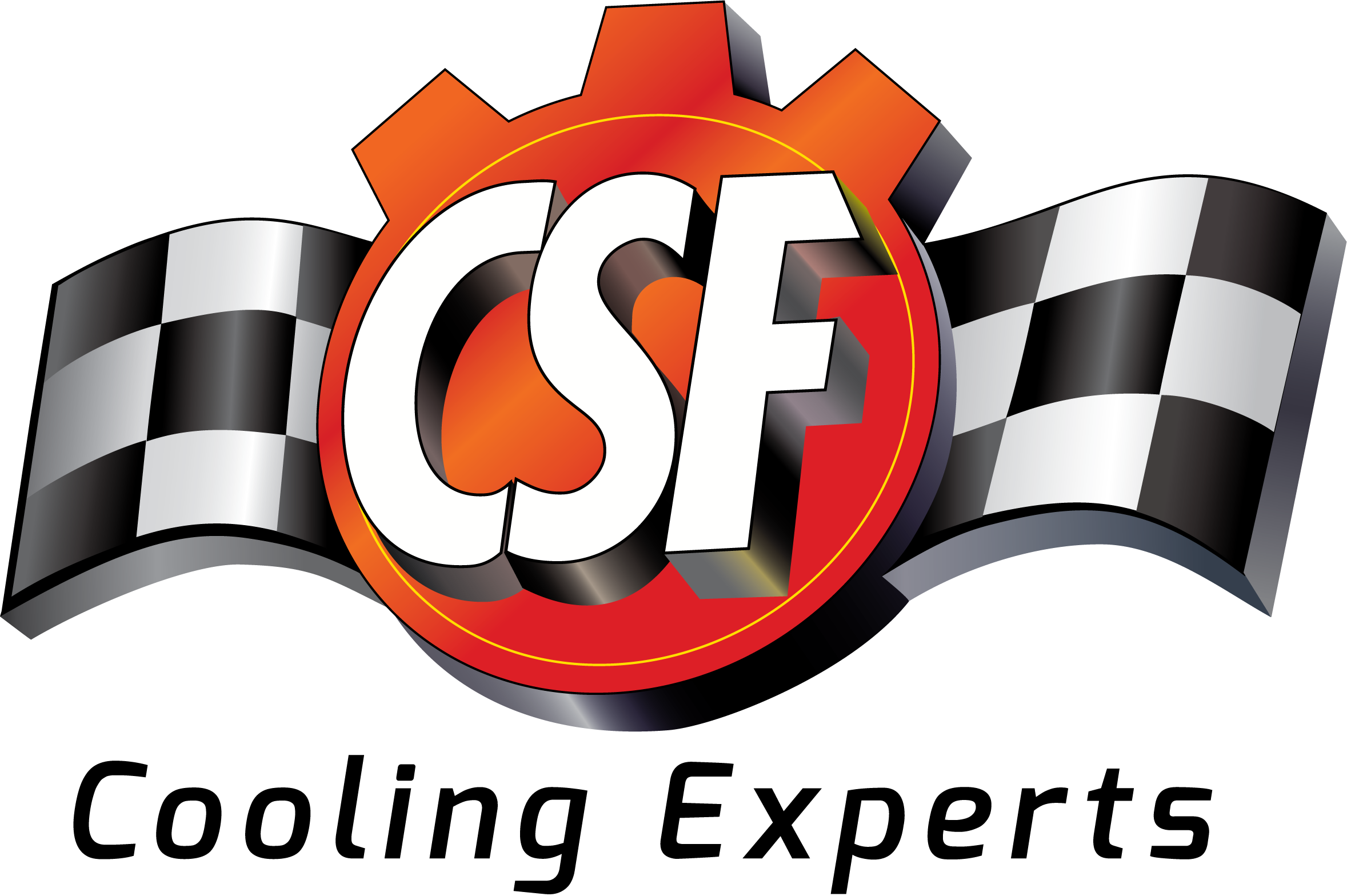 CSF Logo