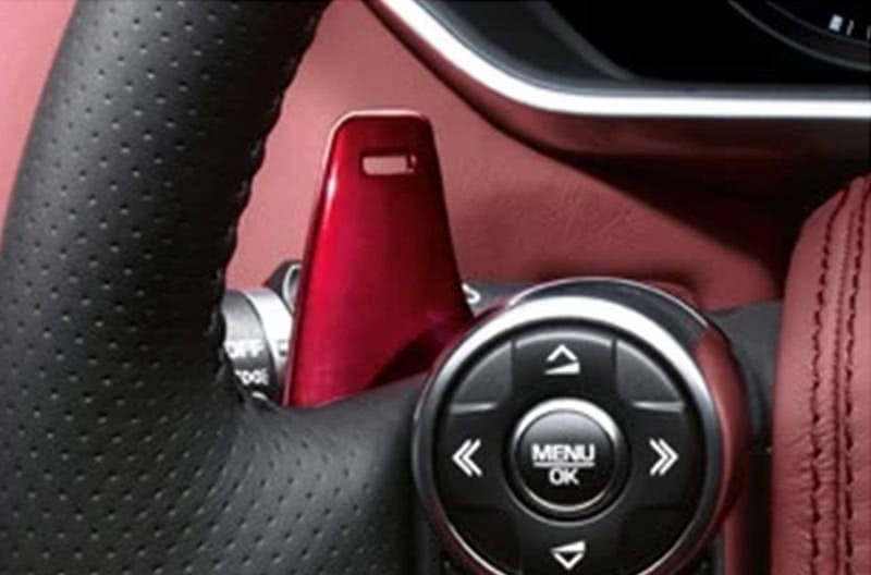LR Gearshift Paddles