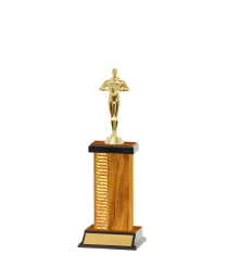 Pattern Trophy On P/Base <Br>19.5cm Plus Figurine