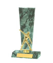 Curved Edged Trophy <Br>28cm