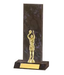 Curved Edged Trophy <Br>30.5cm